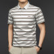 PIERRE CARDIN Polo