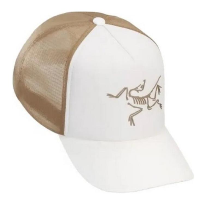 Arcteryx Logo