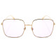 DIOR Stellaire1