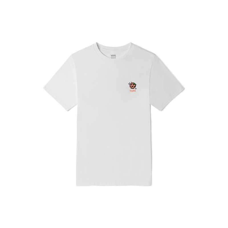 Vans T