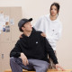 Champion FW24 BASIC Logo