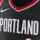 Nike NBA LogoV Icon 0