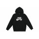 Nike SB ICON