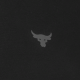 Under Armour Project Rock T