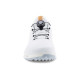 ecco Biom C4