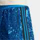 adidas originals Blue Version