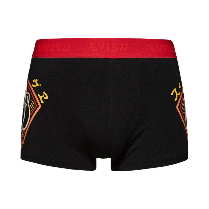 EVISU 1