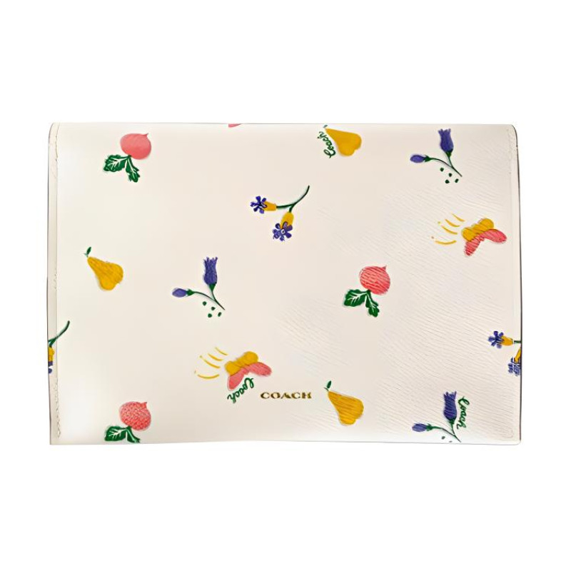 COACH Pouch