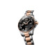 LONGINES 300 43mm L3.782.3.58.7