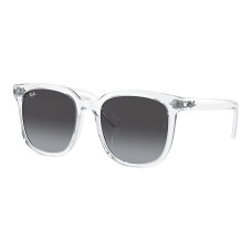 RayBan Logo