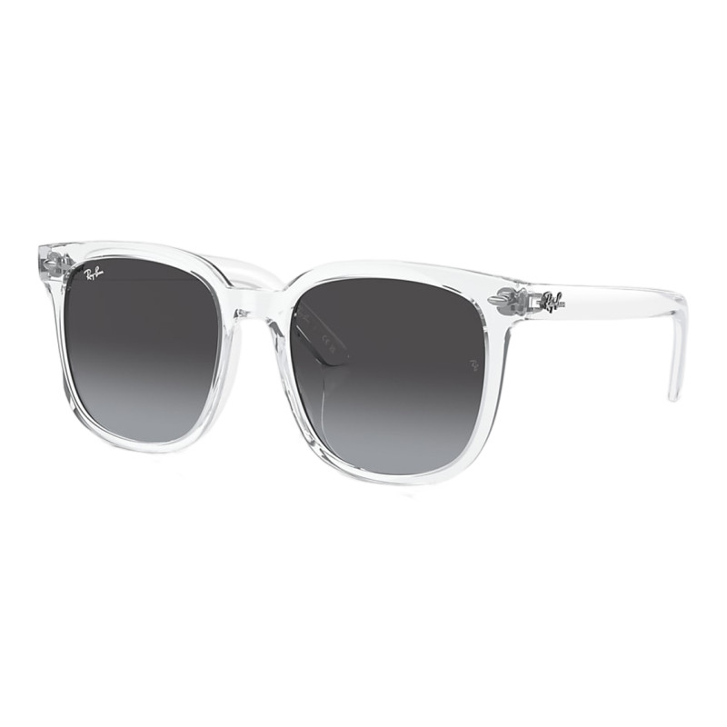 RayBan Logo