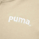 PUMA TEAM FZ HOODIE TR