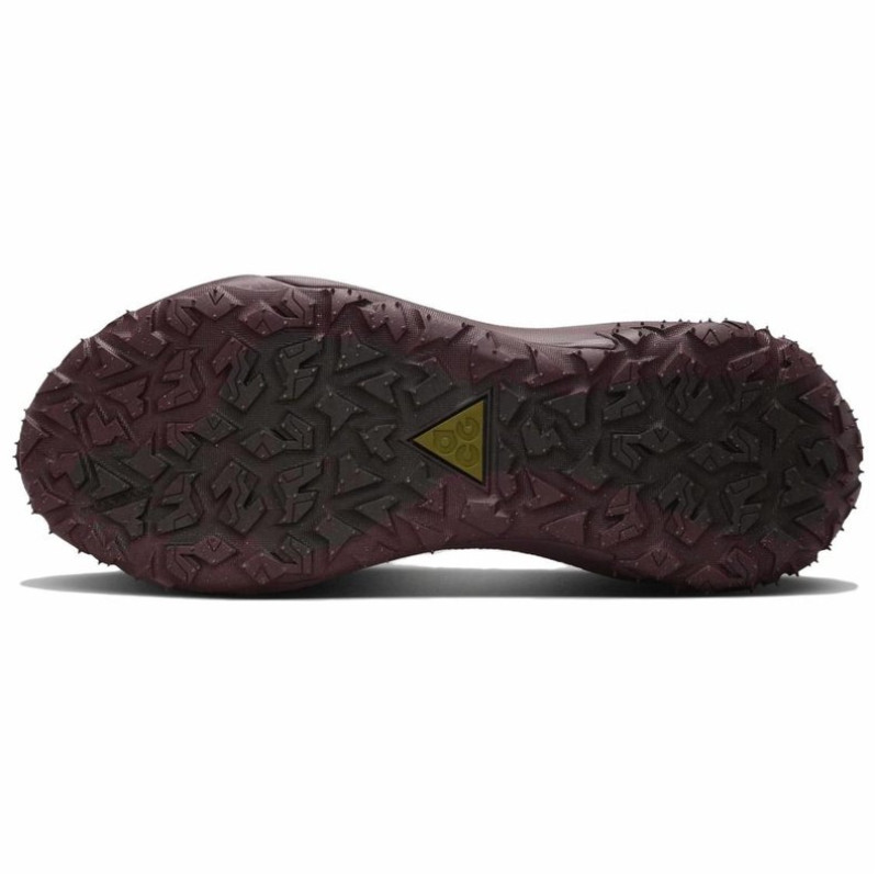 Nike ACG Mountain Fly 2 LOW Gore-Tex