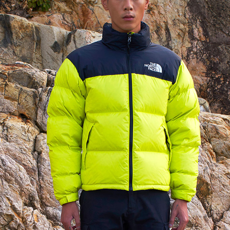 THE NORTH FACE 1996 Nuptse 700