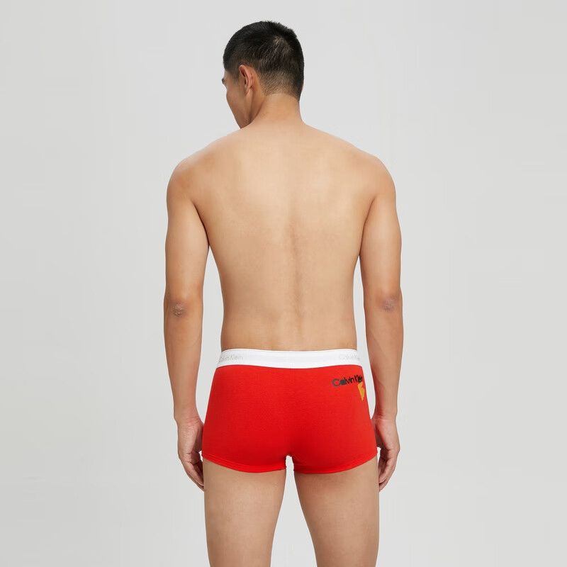 CKCalvin Klein Logo 1