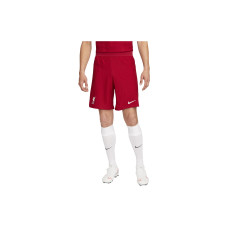 Nike Liverpool FC 202223 Match Home Logo