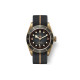 TUDOR 200 43mm M79250BA-0002