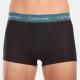 CALVIN KLEIN Logo 3