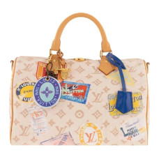 LOUIS VUITTON Speedy 30