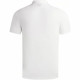 ARMANI EXCHANGE SS23 LogoPolo