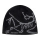 Arcteryx -