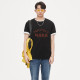FAIRWHALE T