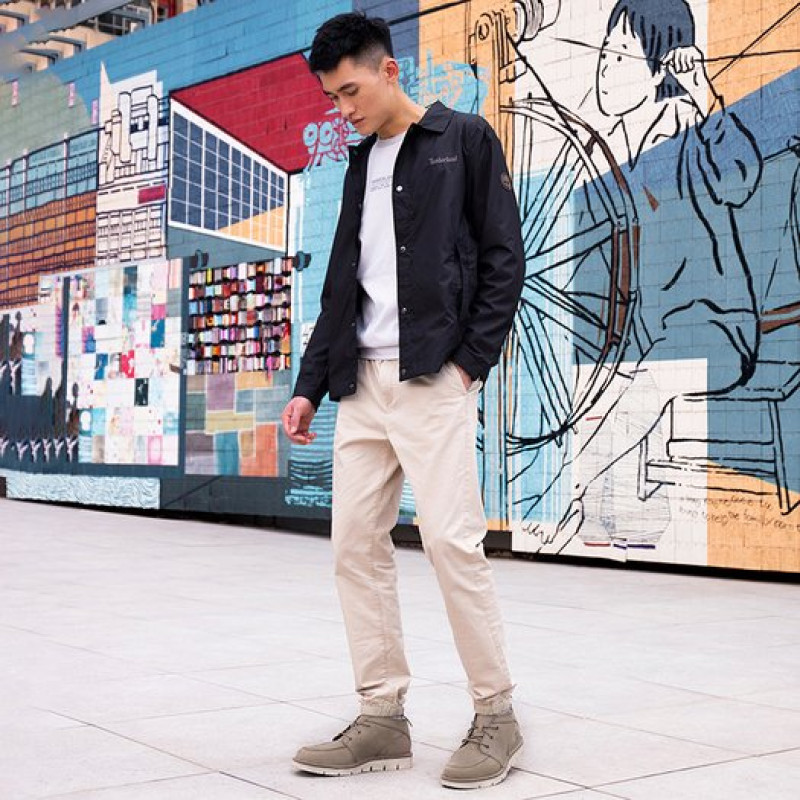 Timberland