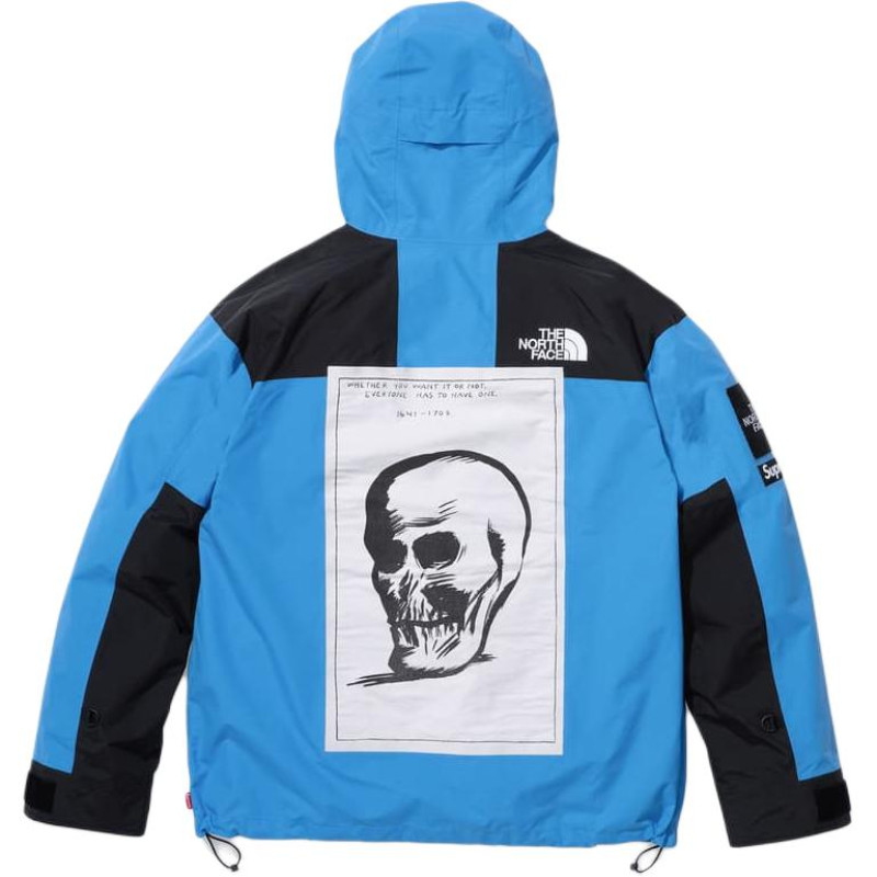 Supreme x THE NORTH FACE FW24 WEEK9 logo