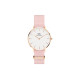 DW Danielwellington 32mm