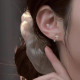 CARAT'SDIARYS999