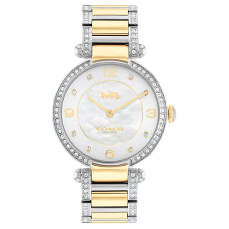 COACHCARY 34mm 30 14503833
