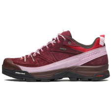 The Broken Arm x SALOMON X-Alpages GTX TBA