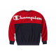 Champion Logo