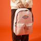 Dickies 100