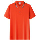 PIERRE CARDIN Polo