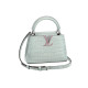 LOUIS VUITTON Capucines