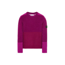 STONE ISLAND FW21 Logo