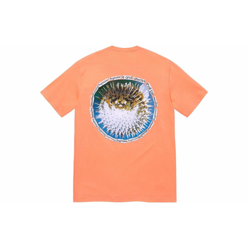 Supreme SS23 WEEK18 BLOWFISH TEE T