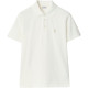 Burberry FW24 Polo
