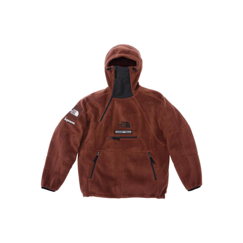 Supreme x the north face TNF FW22 logo