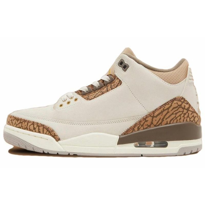 Jordan Air Jordan 3 