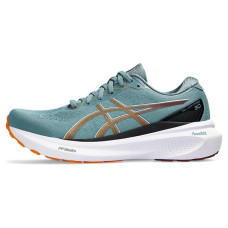 Asics Gel-Kayano 30