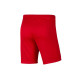 Nike Dri-FIT