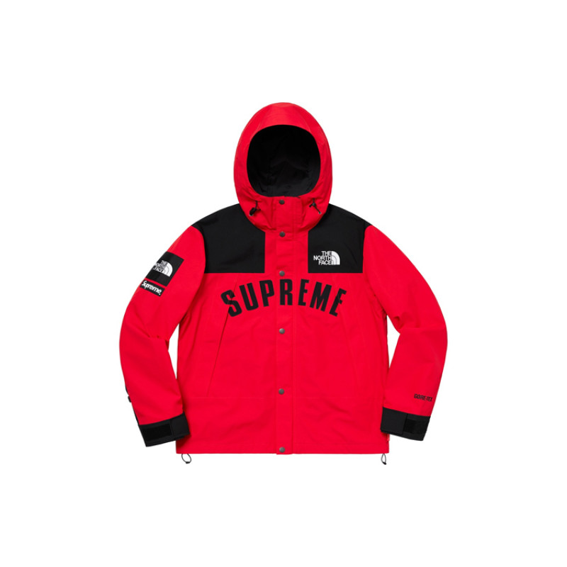 Supreme x THE NORTH FACE SS19 TNF