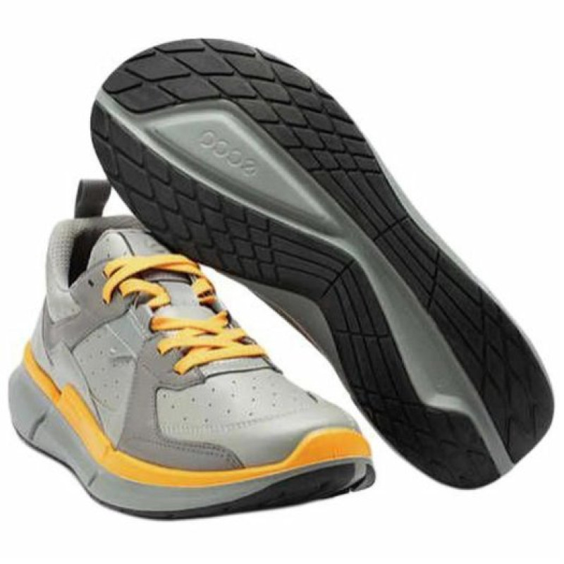 ecco Biom 2.2