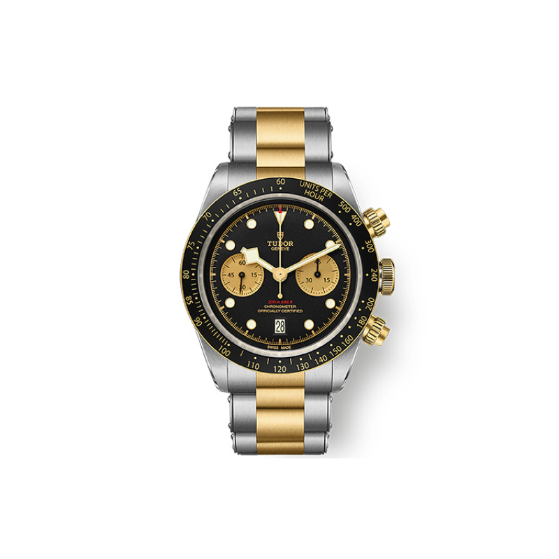 TUDOR 41mm M79363N-0001
