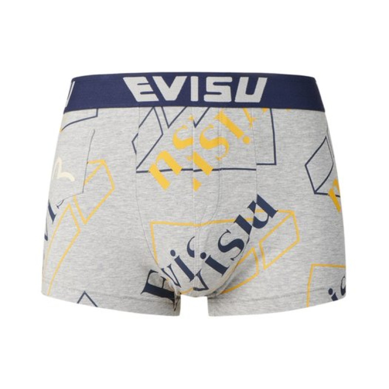 EVISU 2