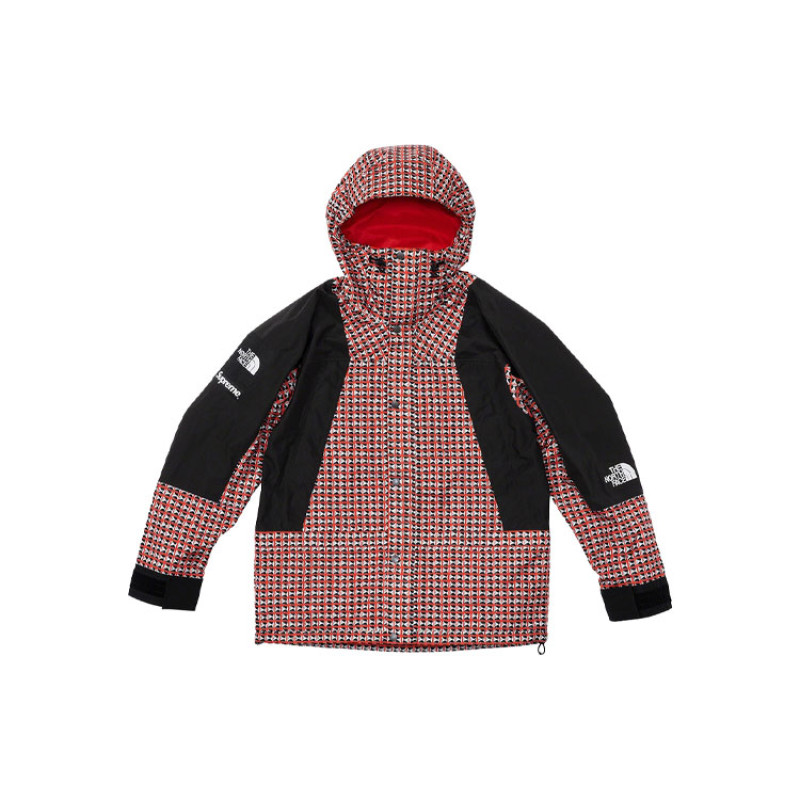 Supreme x THE NORTH FACE SS21
