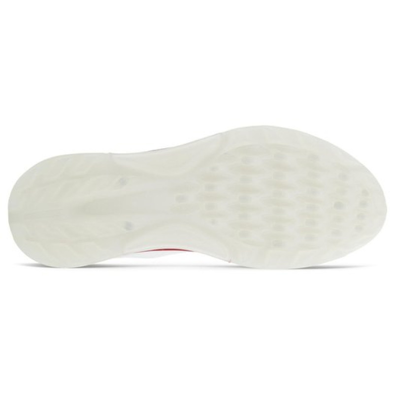 x ecco Biom C4