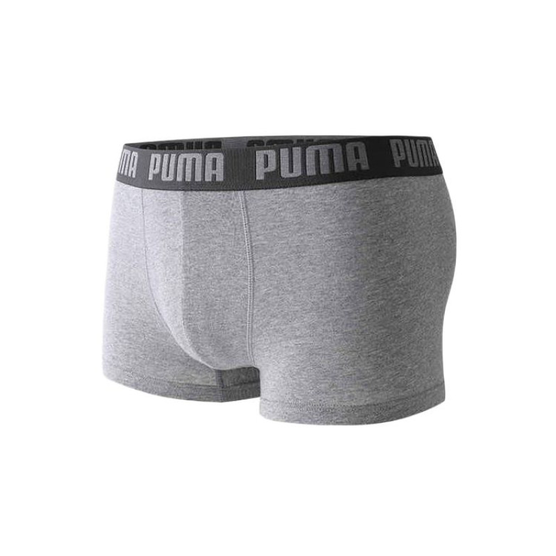 PUMA 3